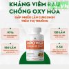 Viên Nghệ tươi Miskafa MPower Cucumin - hỗ trợ Viêm, loét, trào ngược, viêm, nhiễm dạ dày, tiêu hoá