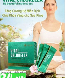Tảo lục Chlorella Vital