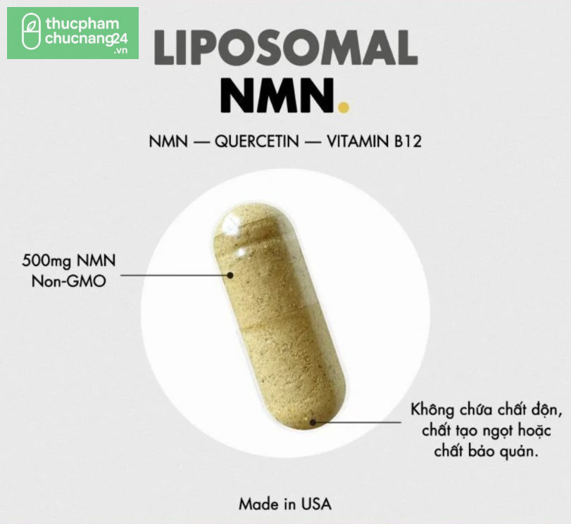 Thực phẩm bảo vệ sức khỏe Liposomal NMN - thucphamchucnang24 Thực phẩm bảo vệ sức khỏe Liposomal NMN - thucphamchucnang24